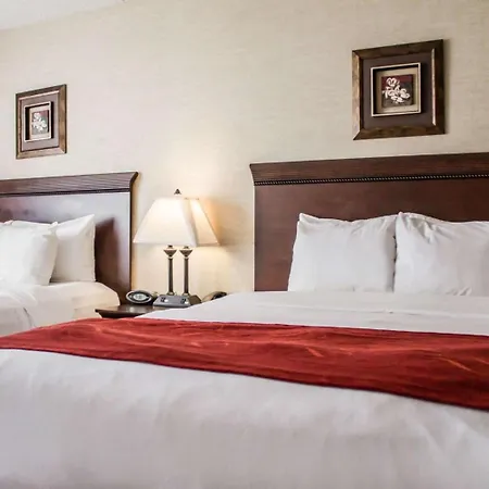 Comfort Suites Lake George - Queensbury-3