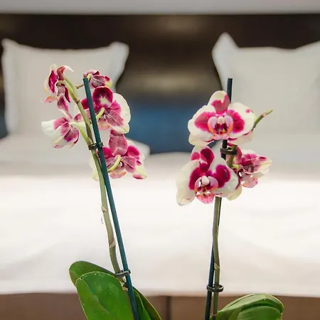 Hotel Felix-3