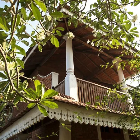 Villa Araliya-3