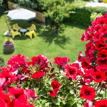 B&B Il Girasole-3