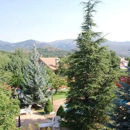 B&B Concha-3