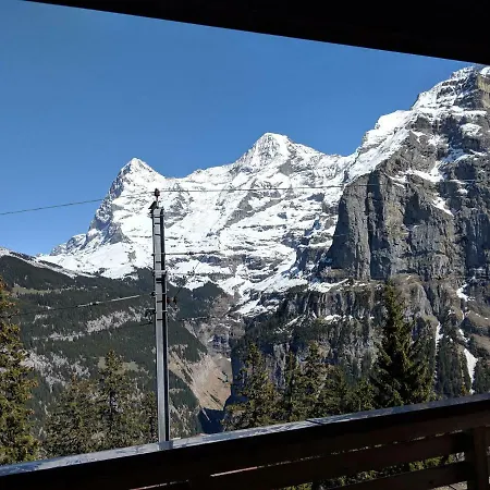 Hotel Alpenblick Mürren-3
