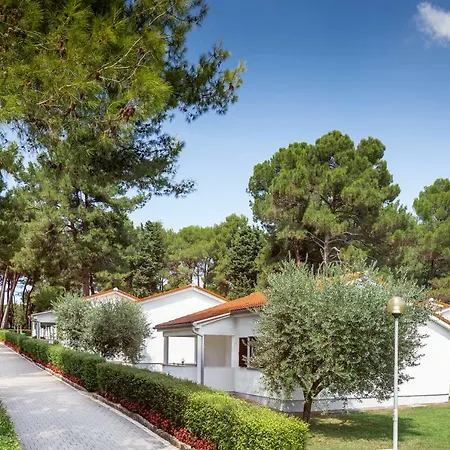 Apartments Galijot Plava Laguna-3