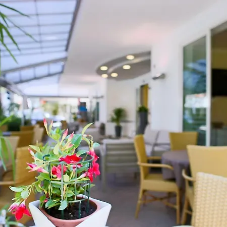 Hotel Myosotis-2