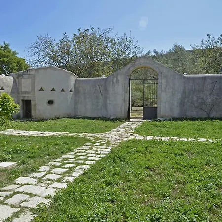 Regia Trazzera-2