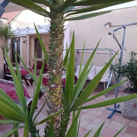 B&B Vico Vacanze-3