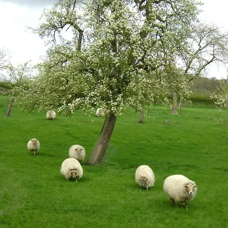 Hoeve Schevey-2