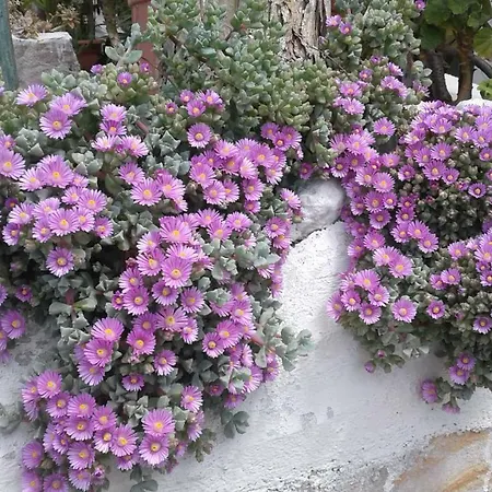 Borgo Antico-2