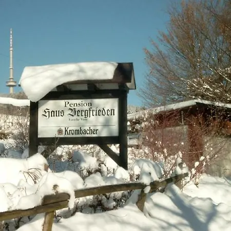 Pension Bergfrieden-3