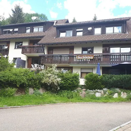 Haus Heidelberg-3