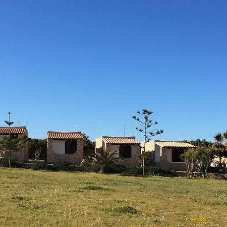 Dammusi Jerimar-3