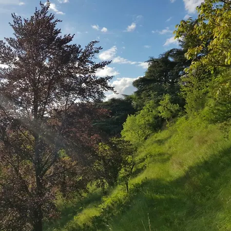 Lyon Country House-3