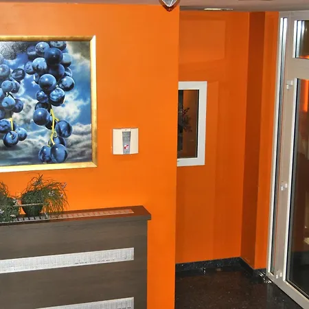 Wellness Apart Hotel-3