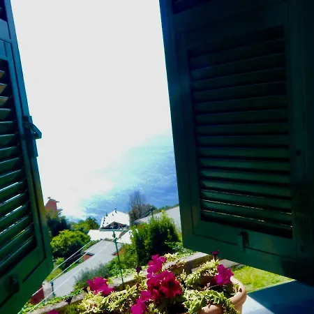 Le Giuee-2