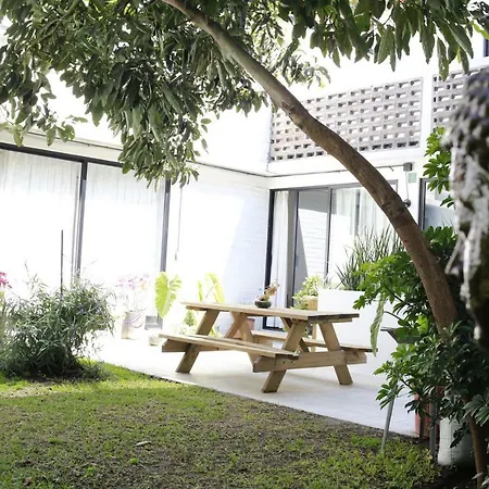 Coyoacan City Lofts-2