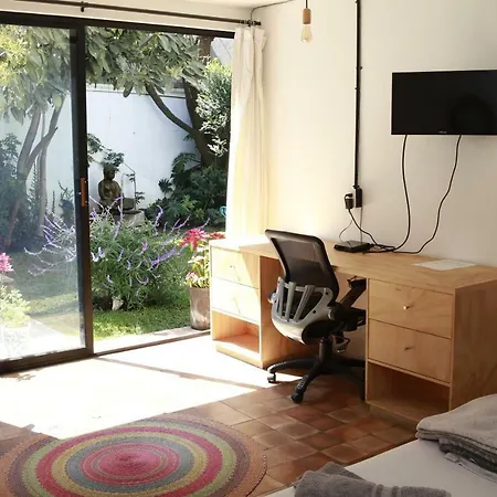 Coyoacan City Lofts-3