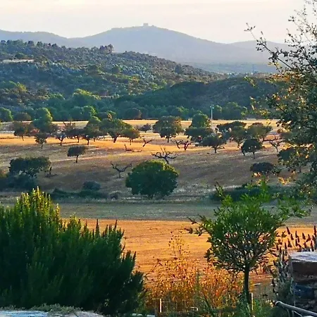 Sharish - Monte Das Estevas-3