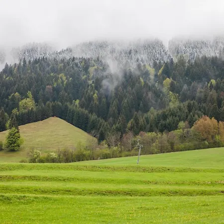Chalet-Pfronten-2