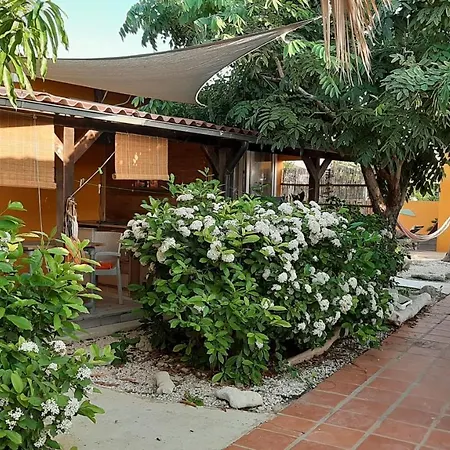 B&B Casa Trankilo-3