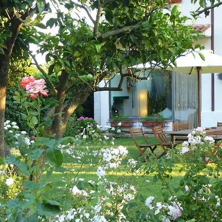 Villa Prato-2