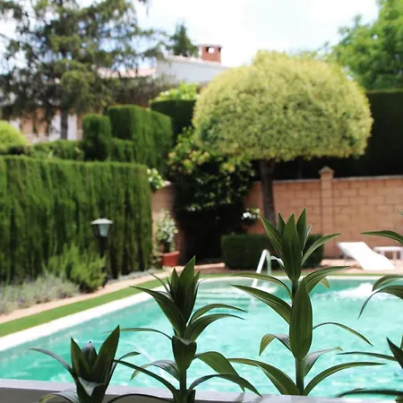 El jardín de la abuela-2