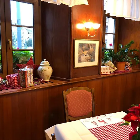 Hotel Rose Heidelberg inklusive Frühstück, Saunanutzung und Parkplätze nach Verfügbarkeit-2