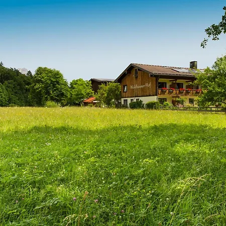 Waldhauser Hof-3