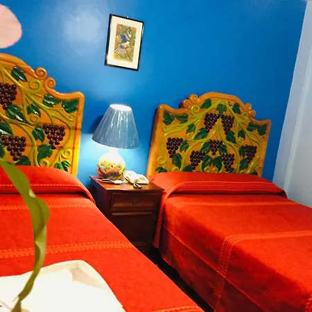 Hotel Cazomalli Oaxaca-2