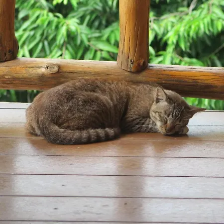 Koh Tao Seaview Resort-3
