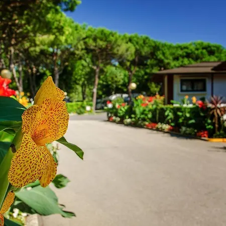 Camping Village Miramare-2