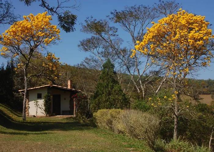 Chales De Minas Hotel Fazenda Caxambu que aceita animais de estimação