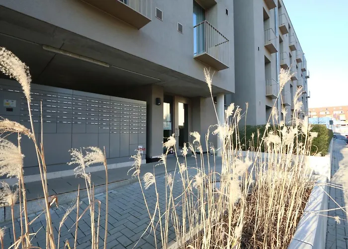 Campus Apartments