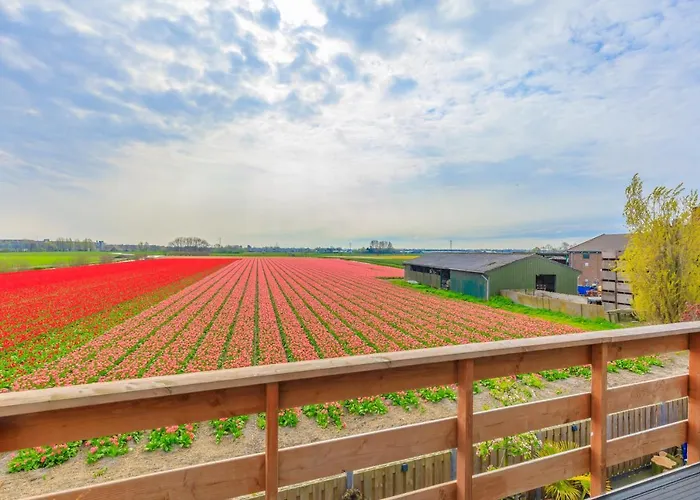 Boutique B&B Blossom Lisse