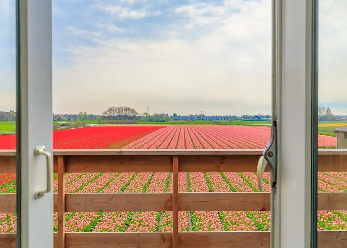 Boutique B&B Blossom Lisse