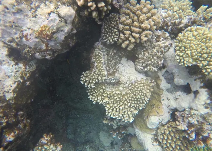 Star Of Dahab Hotel