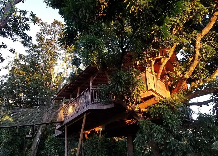 Les Bananes Vertes Saint-Claude