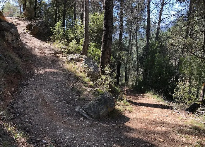 Casas Rurales Arroyo de la Sierra Yeste
