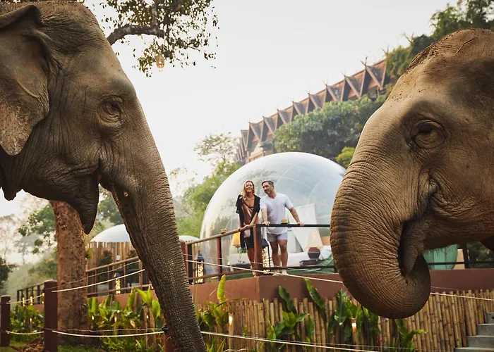 Hôtel Anantara Golden Triangle et Camp Éléphant