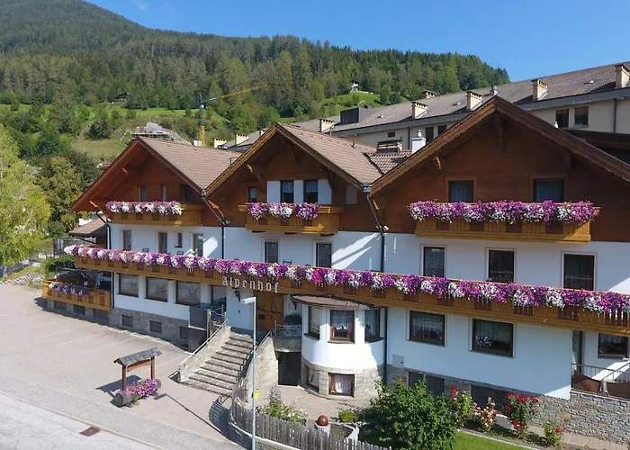 Pension Alpenhof B&B Colle Isarco