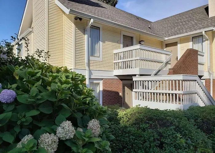 Surestay Studio By Best Western Charlotte Executive Park