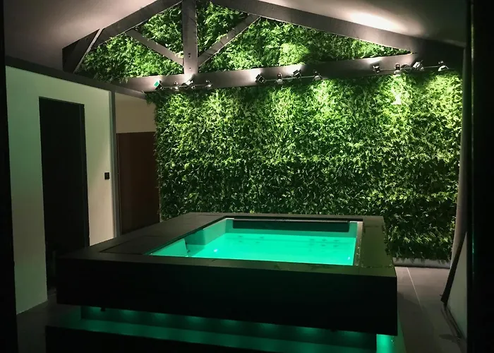 Loft piscine et spa provence LʼIsle-sur-la-Sorgue