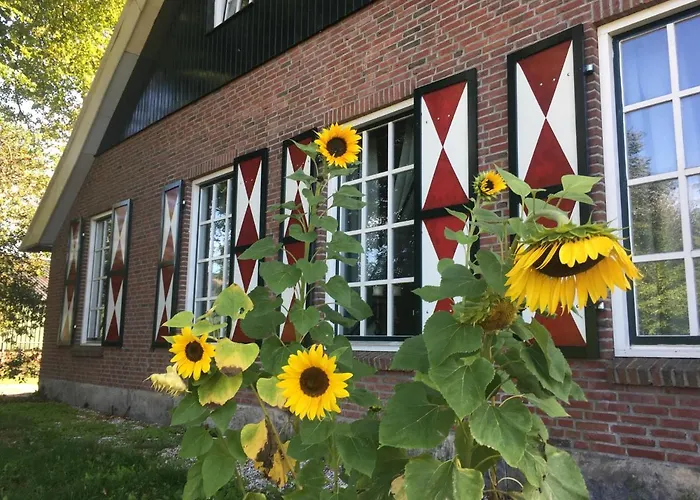 Appartementen in Enschede
