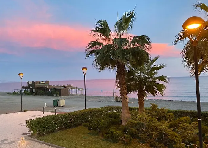 Torrox Beach admite animales