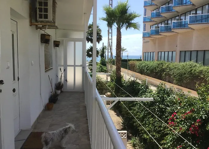 Apartamento Carpe Diem El Albir