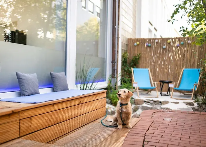 Haustierfreundliches Sova Guesthouse Kassel