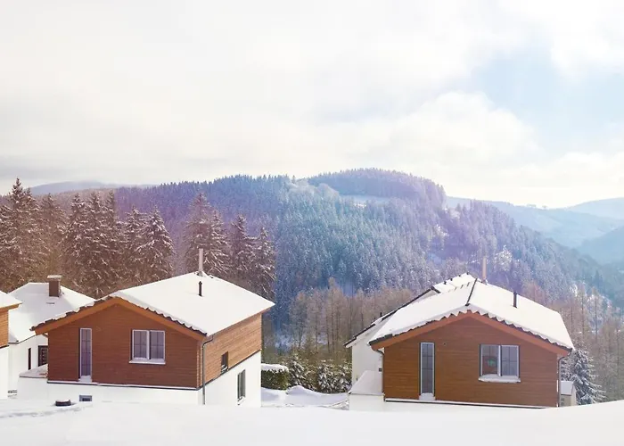 Villa UplandParcs Winterberg