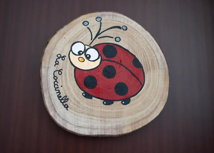 La nuova Coccinella