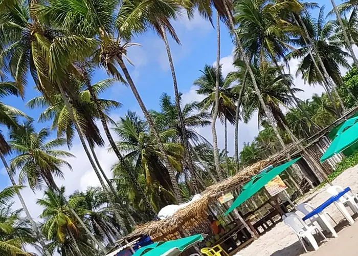 Pousada Hibisco Velha Boipeba que aceita animais de estimação
