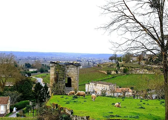 La maison d artiste Saint-Émilion