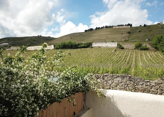 Le Pavillon de l'Hermitage - Spa Tain-lʼHermitage Privée